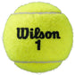 Tarro de Pelota Wilson Roland Garros All Court X3  1 Unidad