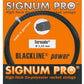 Cuerda Signum Pro Tornado Negro (12m) - Sur SportsAccesorios